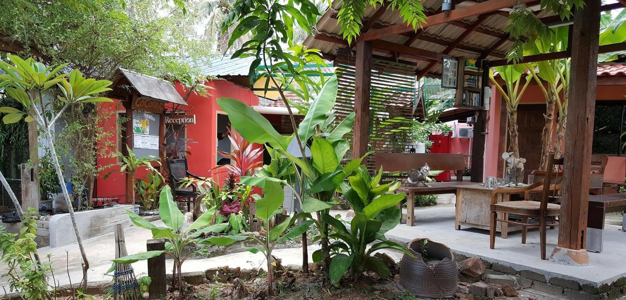 The Coconut Langkawi Hotell Pantai Cenang  Exteriör bild